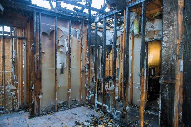 Professional Fire Damage Assessment technician working in Berryville, TX